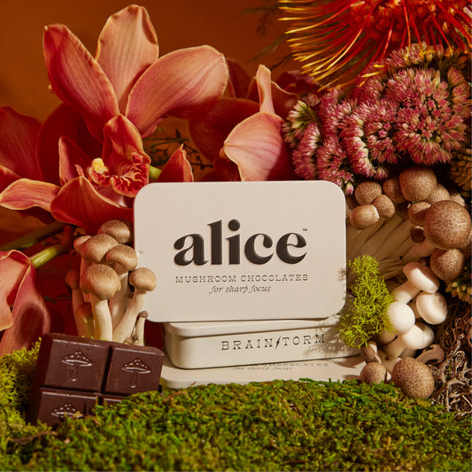 Brainstorm - Alice Chocolates